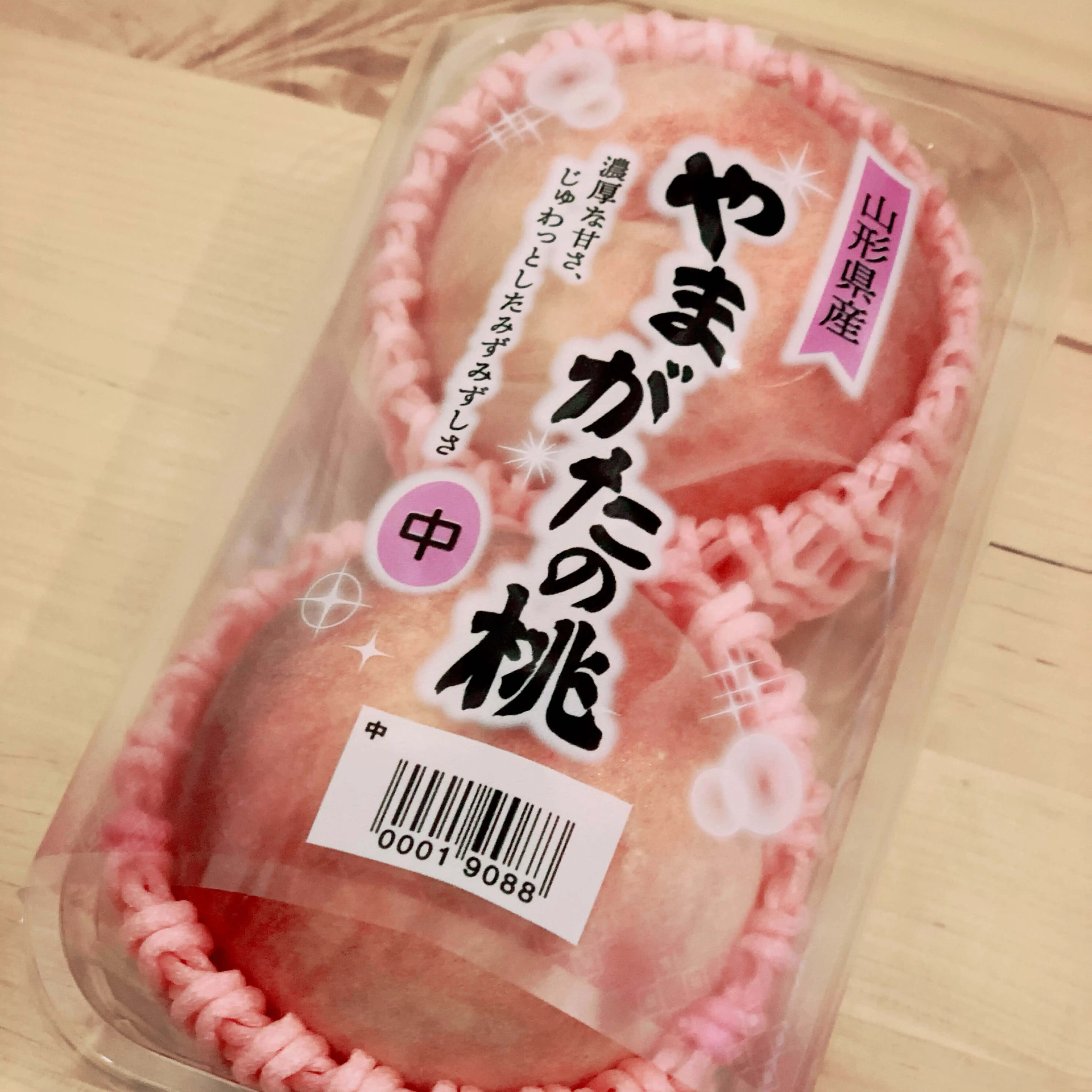 セメント・モリ