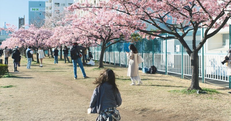 河津桜を撮りに行った日