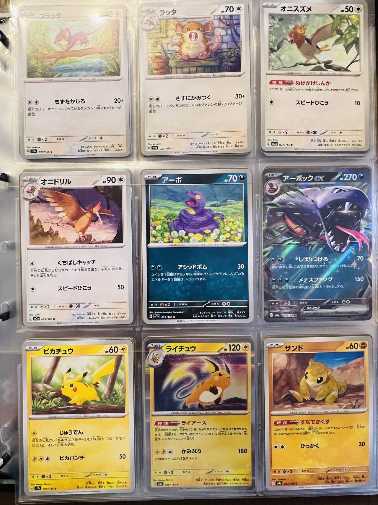 SV2a ポケモンカード151 [個人的ポケカ図鑑]｜Chuck K