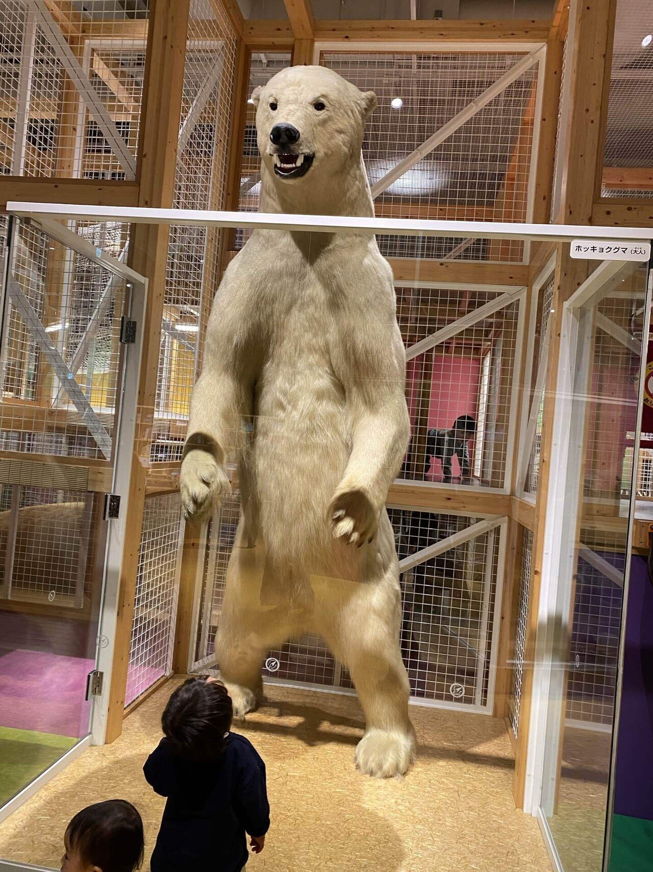 シロクマの剥製 3.16(土)｜のしの