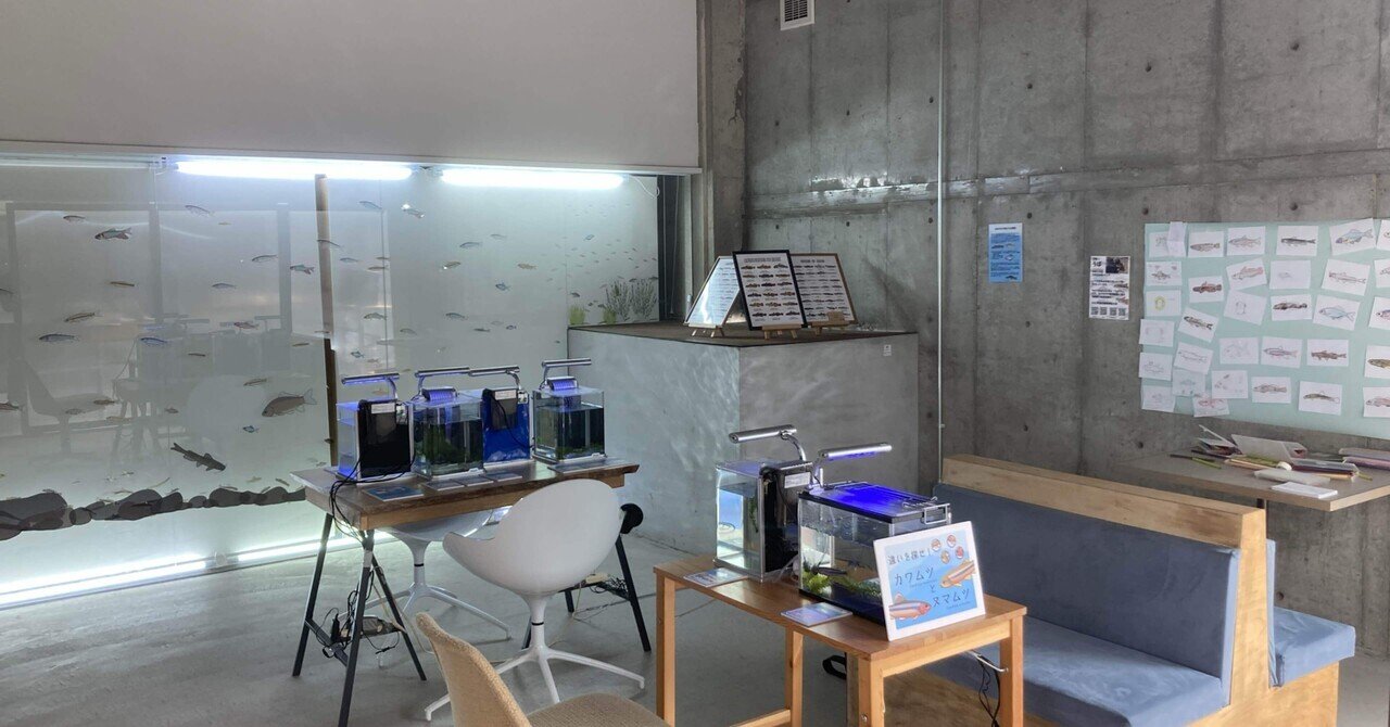 12畳の川の中の水族館 さがす(2024/3/16)|IWAO 博物館巡りの我 12畳の川の中の水族館 さがす(2024/3/16)|IWAO 博物館巡りの我