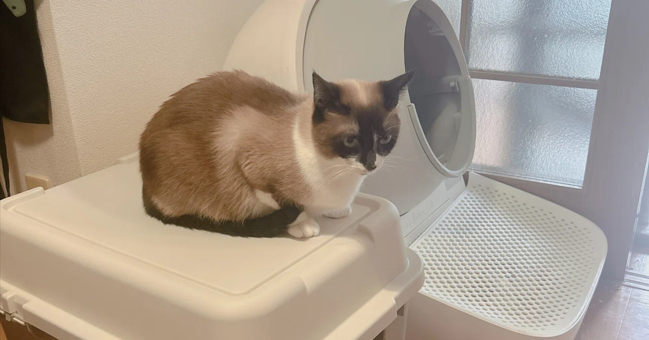 ほぼ新品《自動猫トイレ》CATLINK SCOOPER PRO-X