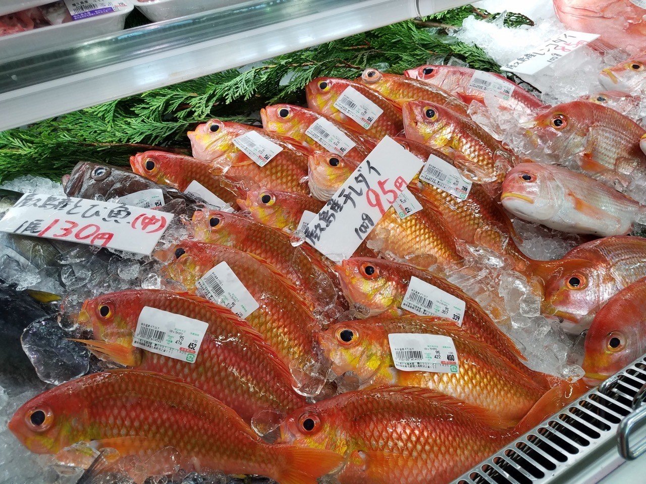 屋久島宮之浦でオススメの海鮮土産 丸高水産 石井孝典 Note