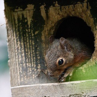 アベンジャーズ エンドゲーム のアベンジャーズ アッセンブルについての動画をアップしました 鮎沢怜樹 Note