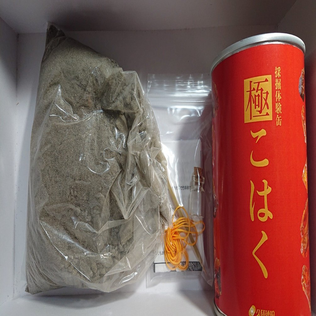 〜琥珀出品〜 琥珀に寄生バチの化石6匹 新種か、白亜紀後期9000万年前の地層から発見