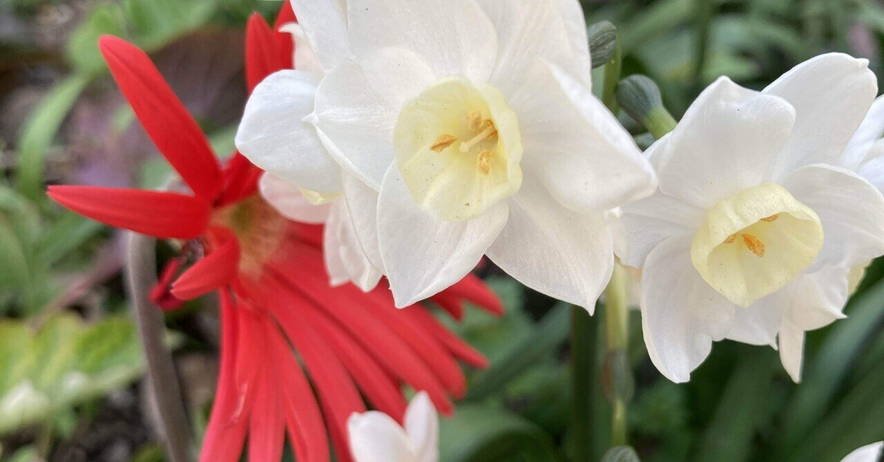 カポジ水痘様発疹症|牧 裕子