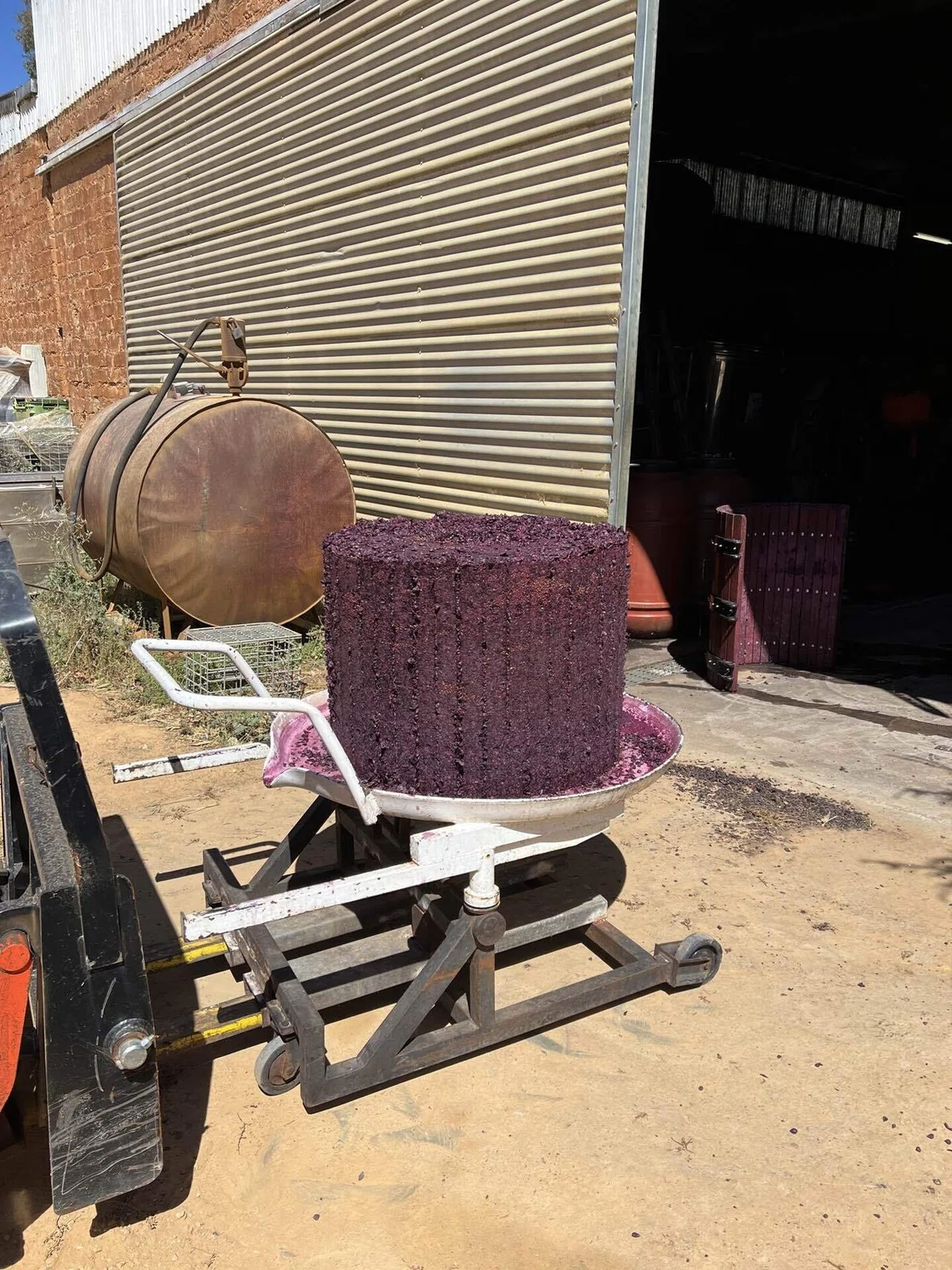 Winemaking has begun🍇｜史