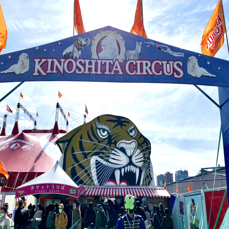 サーカスは大人もサイコーに楽しめるエンタメショー♡｜Tomoka