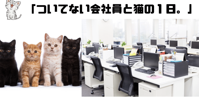 youtube動画紹介┃「ついてない会社員と猫の１日。」┃猫ミーム┃猫meme