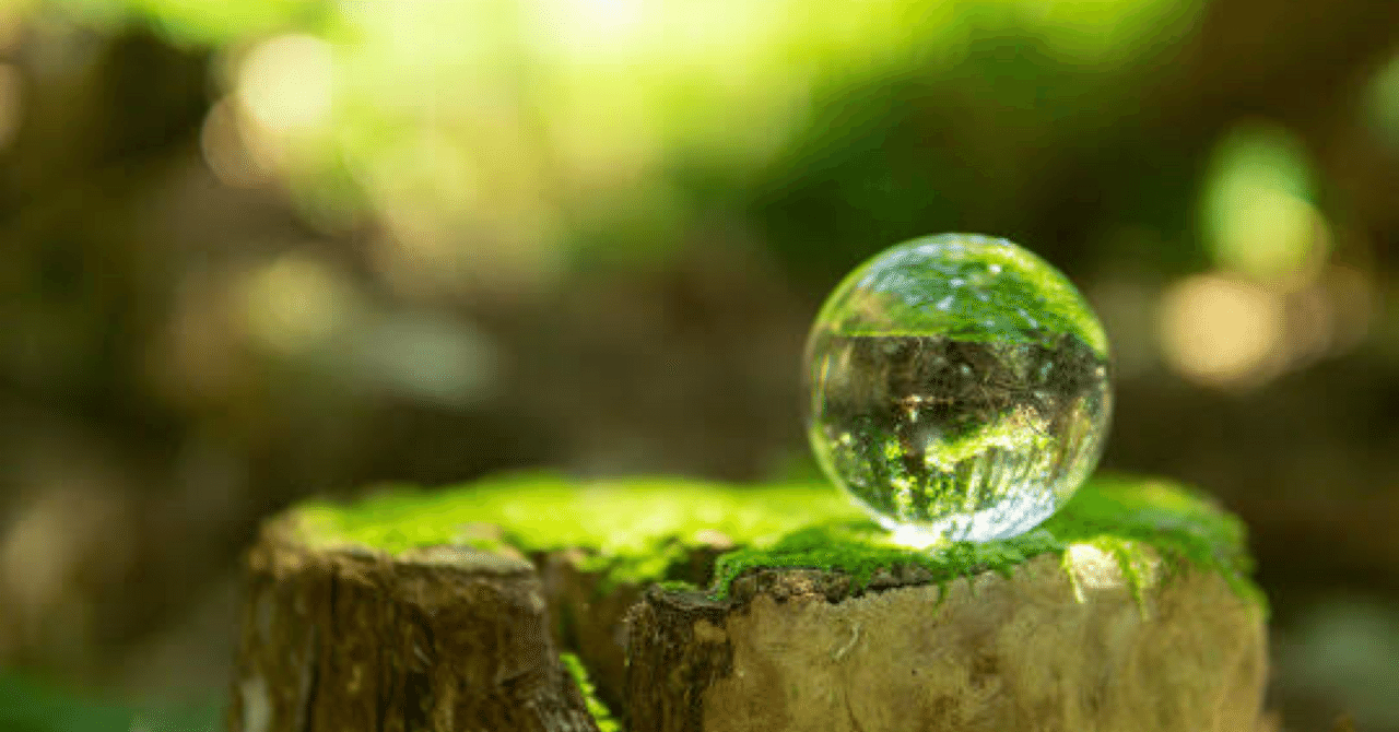 【naru様限定】クラニオセイクラル・バイオダイナミクス VOL. 1 & 2 naru様限定】クラニオセイクラル・バイオダイナミクス VOL. 1 & 2 naru