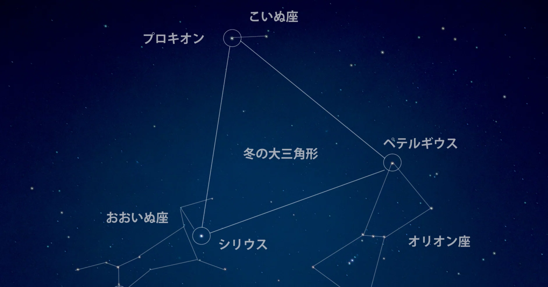 石垣島プチ移住2024】 day.9 冬の大三角形｜tama