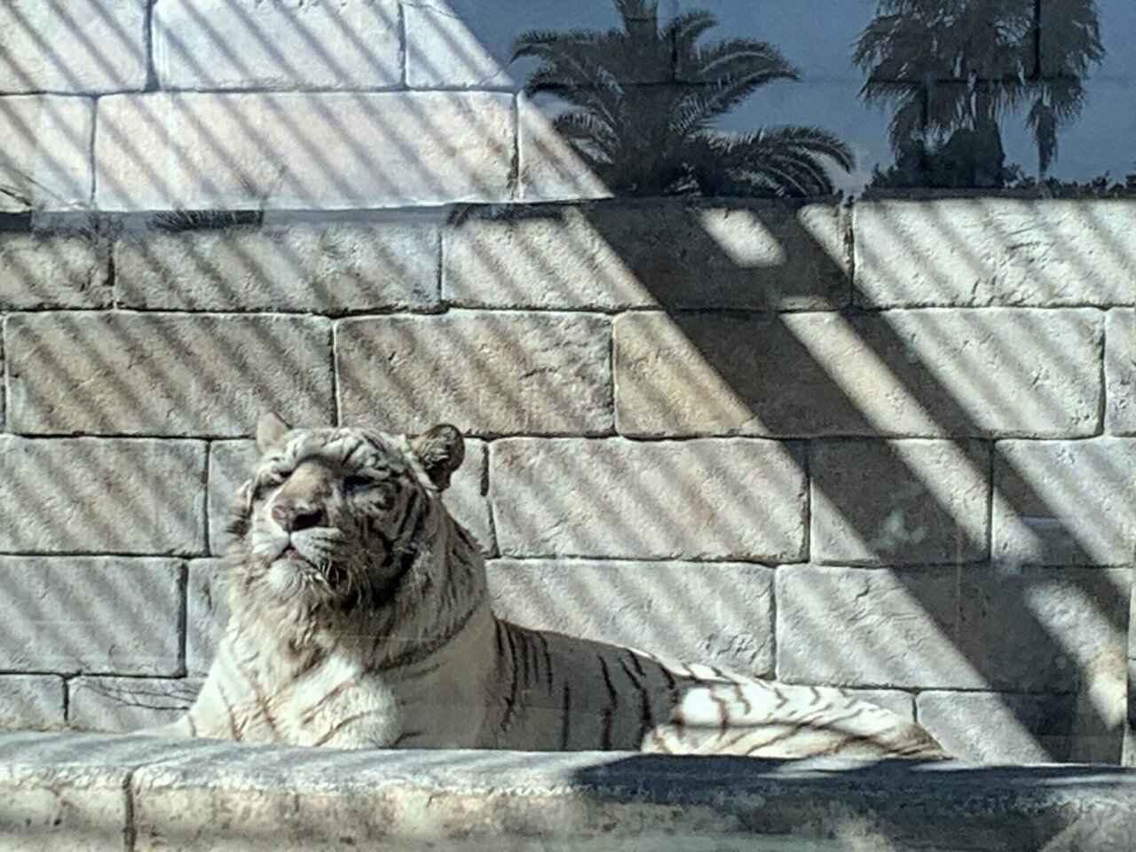 博物館のこと「東武動物公園」｜うるら(あっぷ)
