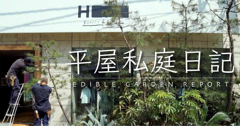ブルーベリーの収穫 平屋私庭日記 ２４ ライツ社