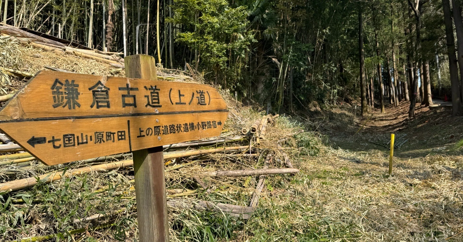 鎌倉街道 上道を走る 町田～東村山 後編｜dash2