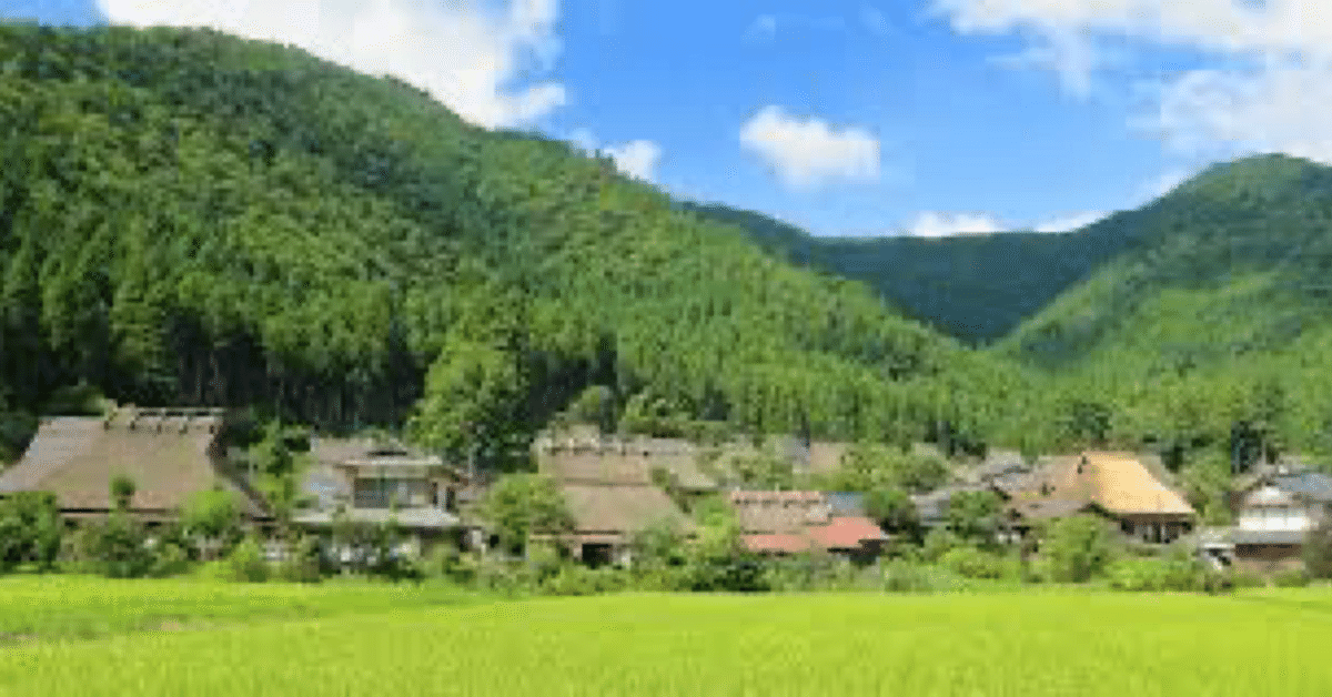 解説/『農村型地域運営組織（農村RMO）』｜江戸っ子