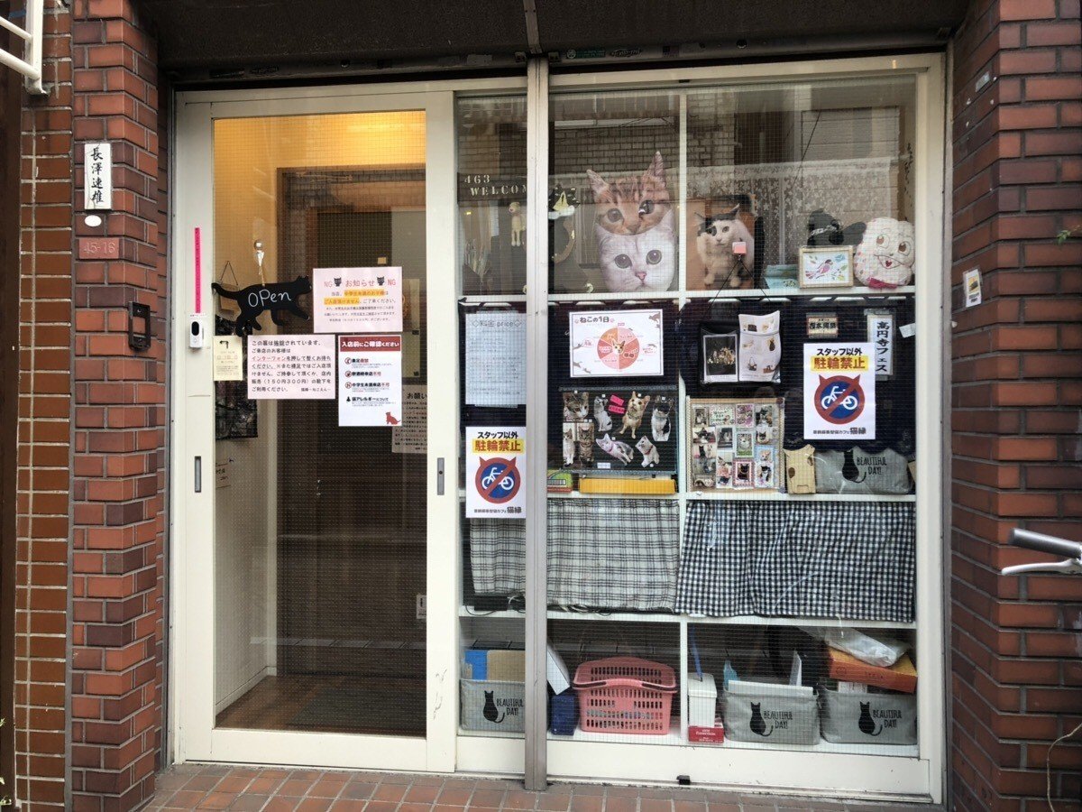 保護猫カフェに行ったらめっちゃ猫ちゃんに遊んでもらえた話 いい部屋ペット いい部屋ネット 公式 Note 保護猫カフェに行ったらめっちゃ猫ちゃんに遊んでもらえた話 いい部屋ペット いい部屋ネット 公式 Note