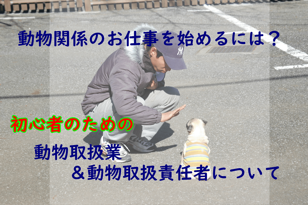 動物関係の仕事をしたい きょうた Note 動物関係の仕事をしたい きょうた Note