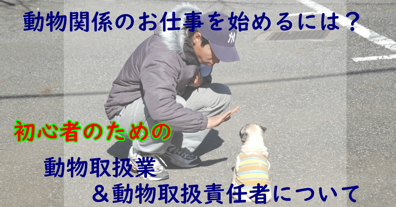 動物関係の仕事をしたい きょうた Note
