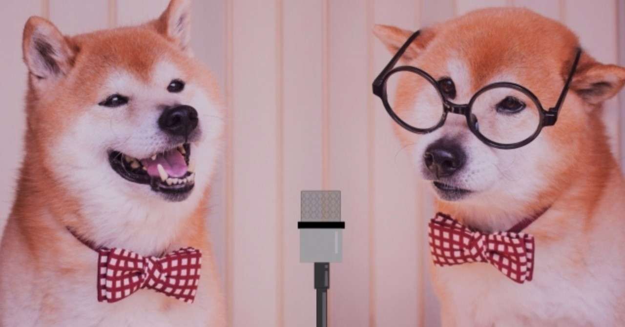漫才する犬
