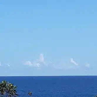 rico