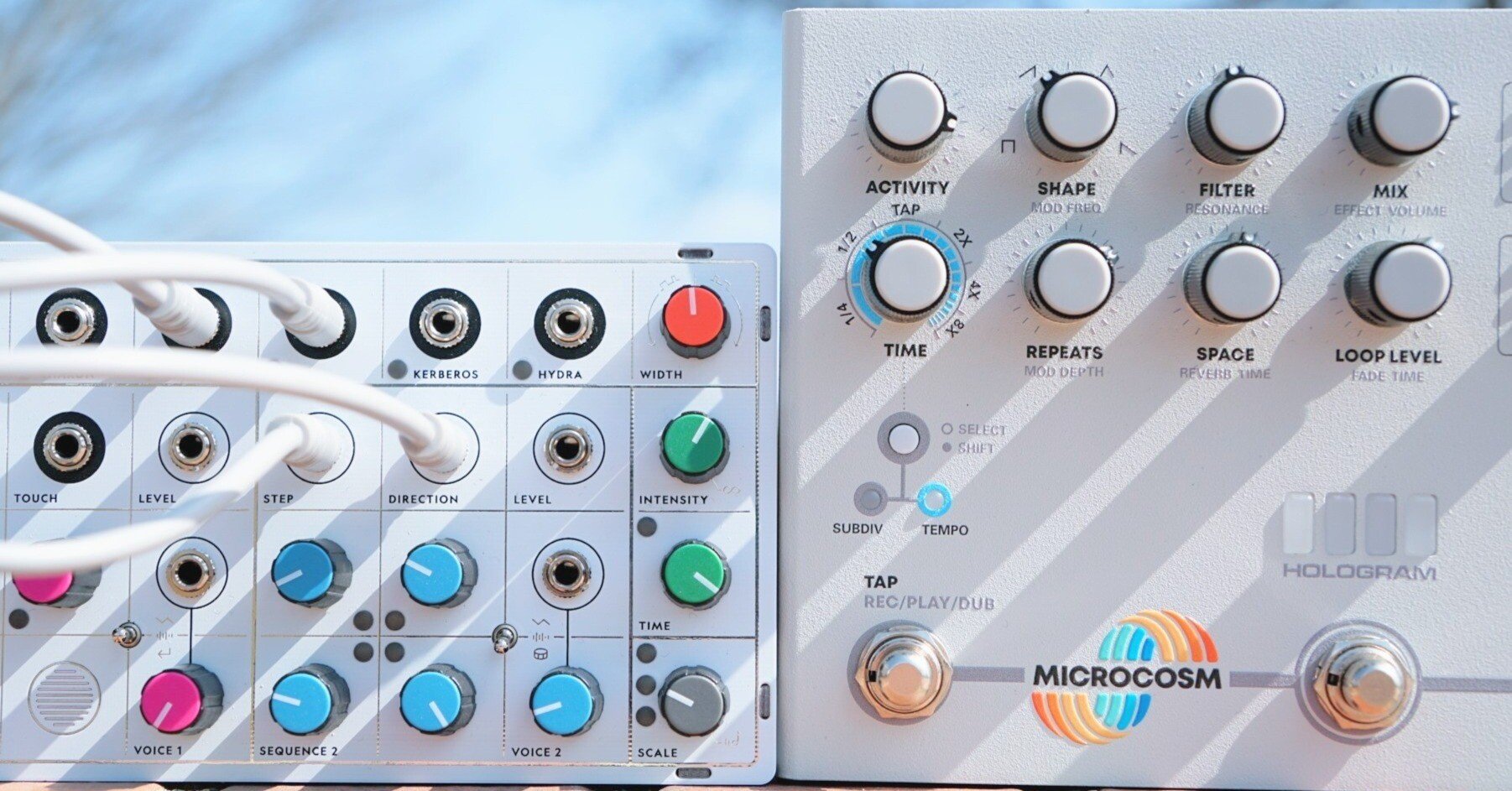 Hologram Microcosm エフェクター　黒　限定500台 Hologram Microcosm エフェクター 黒 限定500台 MICROCOSM Matte