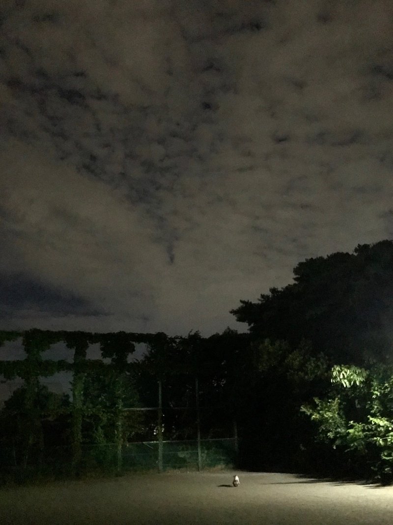犬と夜を駆ける 村本大志 Note