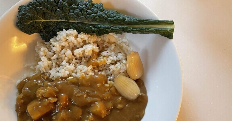 今日はカレーしか作らない日。