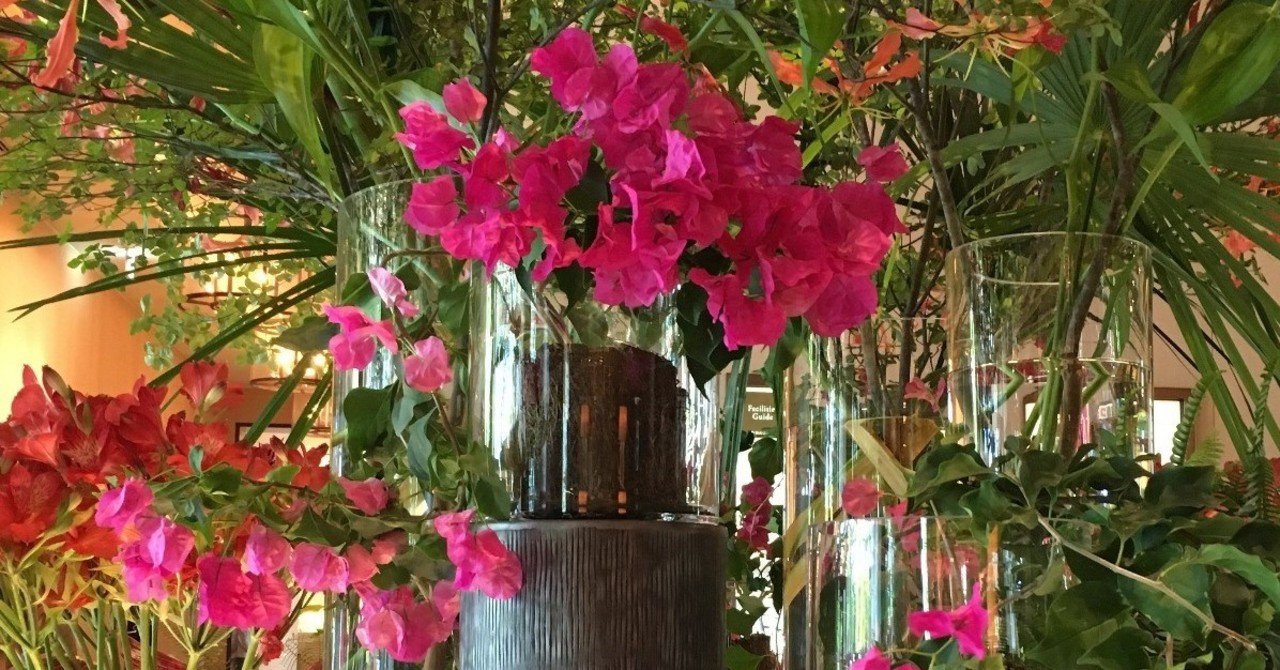 現実創造 は 仕組み を知ると 継続 しやすい 渡邊 奈美 Naviiro Note