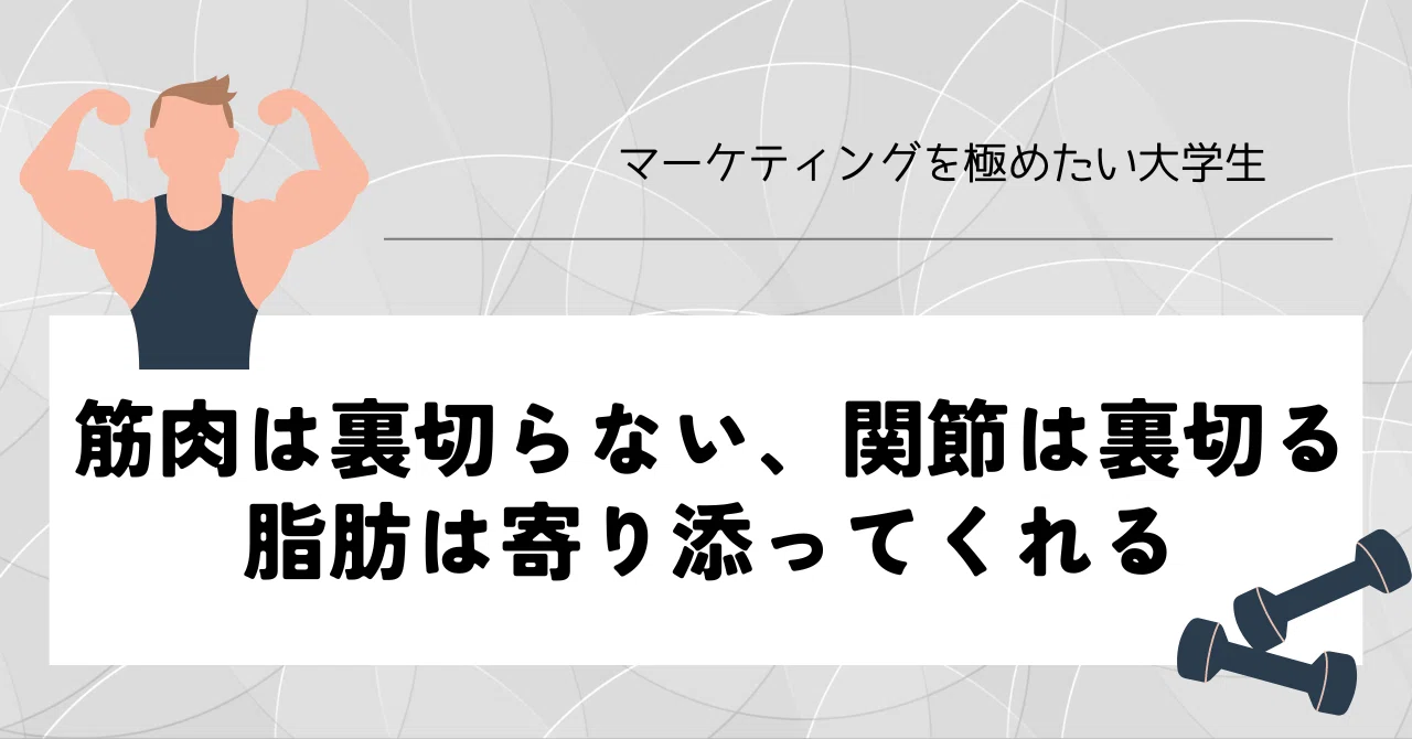 筋肉は裏切らない、関節は裏切る、脂肪は寄り添ってくれる|もか≀日常に、ひと焙煎のぬくもりを。