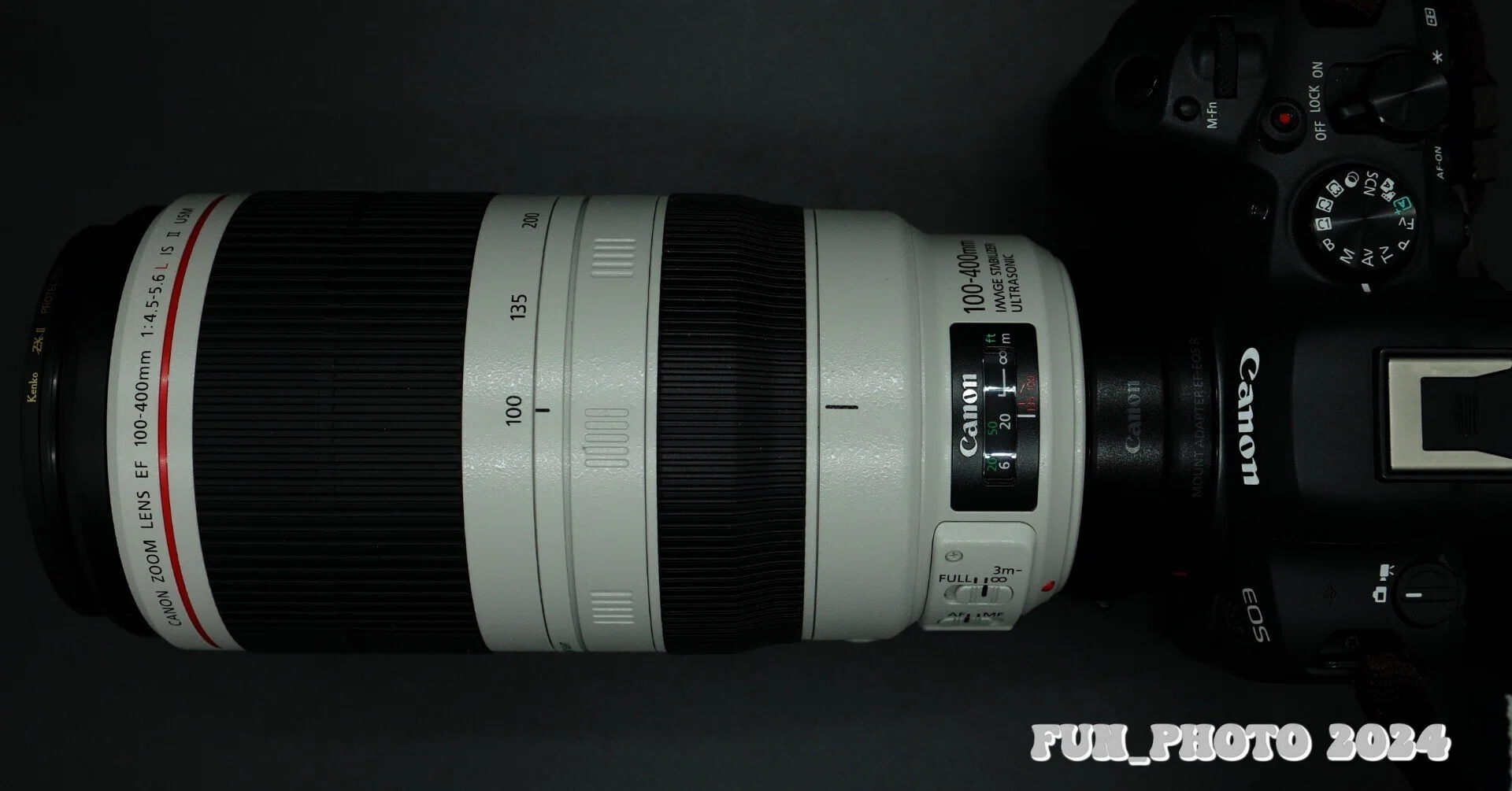 かなり遠回りして購入したレンズ EF100-400mm F4.5-5.6L IS II USM