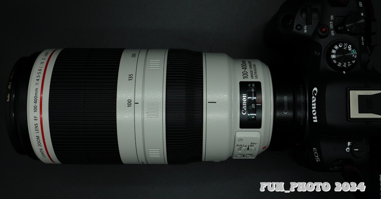 かなり遠回りして購入したレンズ EF100-400mm F4.5-5.6L IS II USM