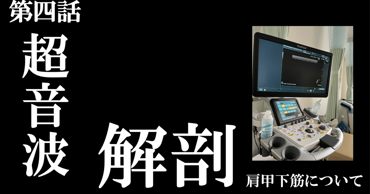 超音波解剖追記④（肩甲下筋について）｜こばさん（小林由弥）