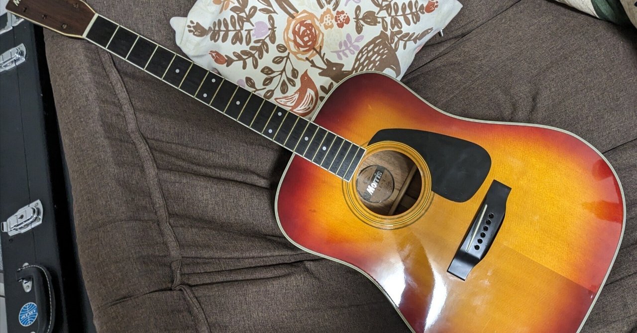 Morris MD-505 アコースティックギター（MORRISの弦楽器検索結果