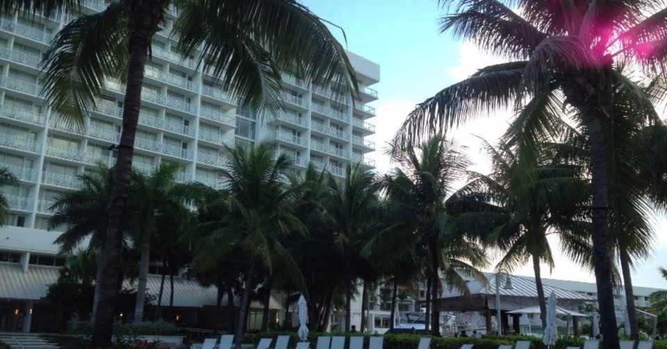 世界最大の豪華客船とアメリカの旅 旅体験記 アメリカ編 3 安田 舞 書道家 Mai Yasuda 人生を最高に旅せよ Note