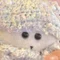 汐崎いさな