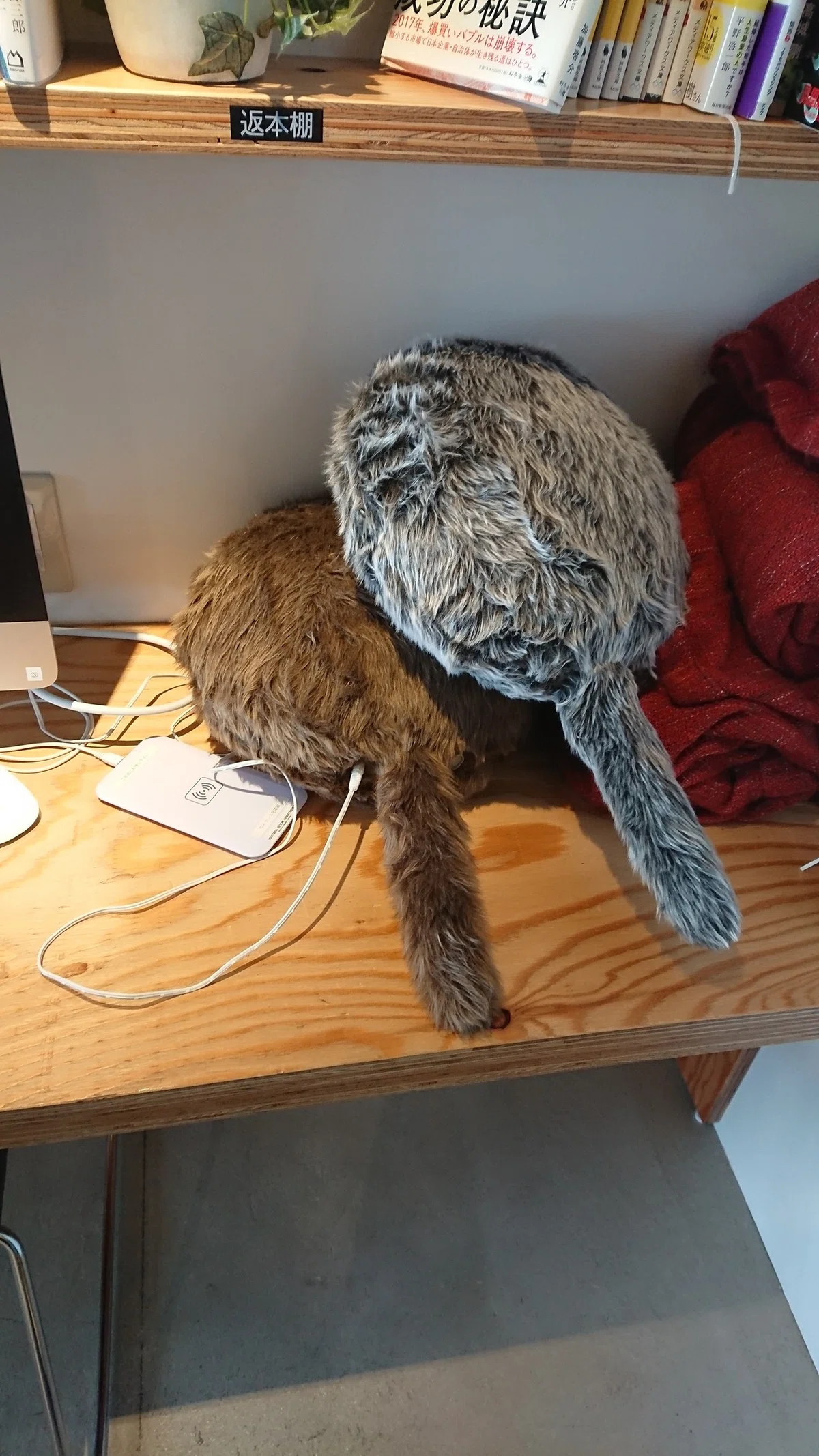 ç»å
