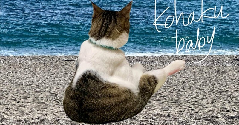 カリブ海に住む猫は、note港に寄港する
