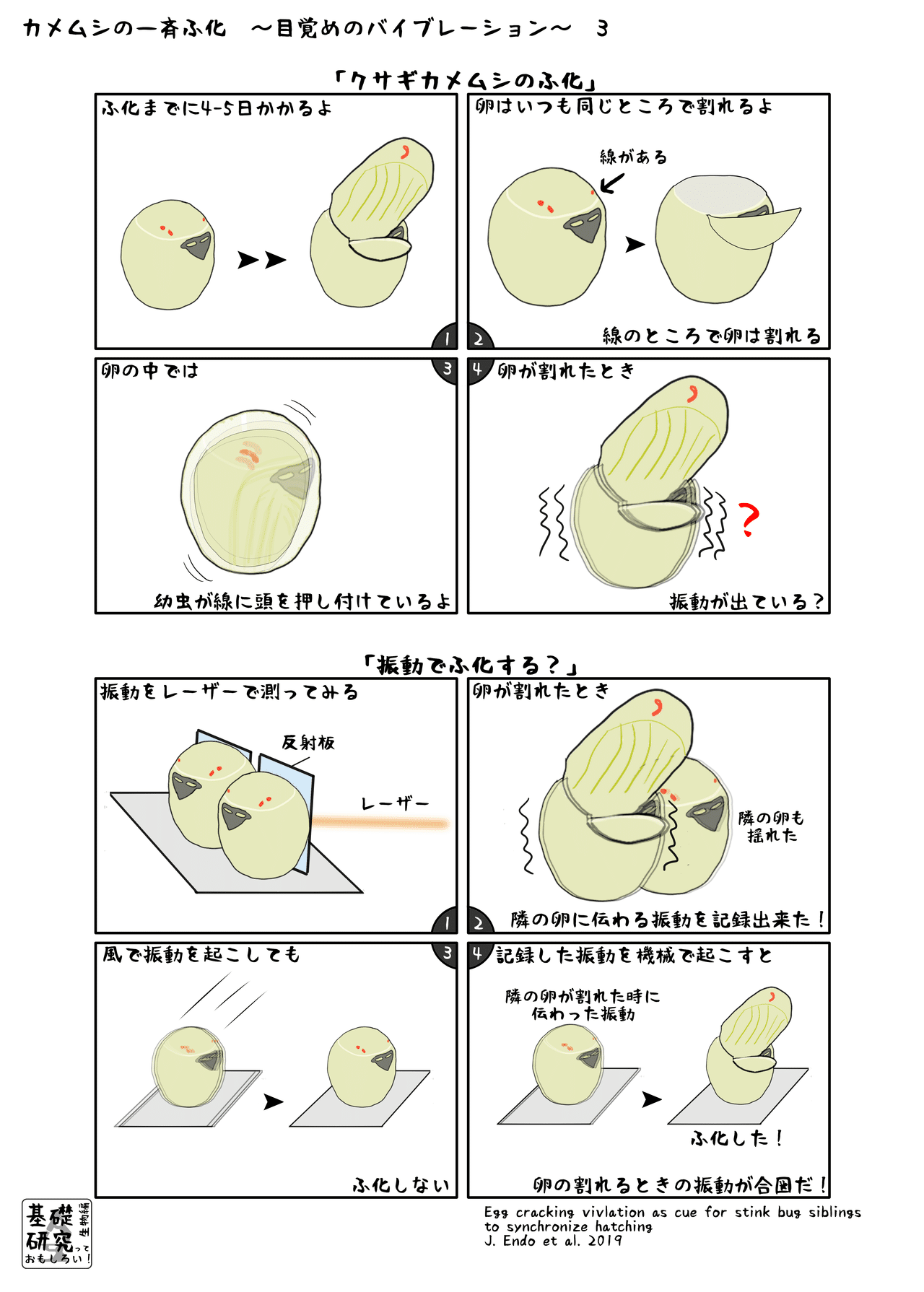 カメムシの一斉ふ化3