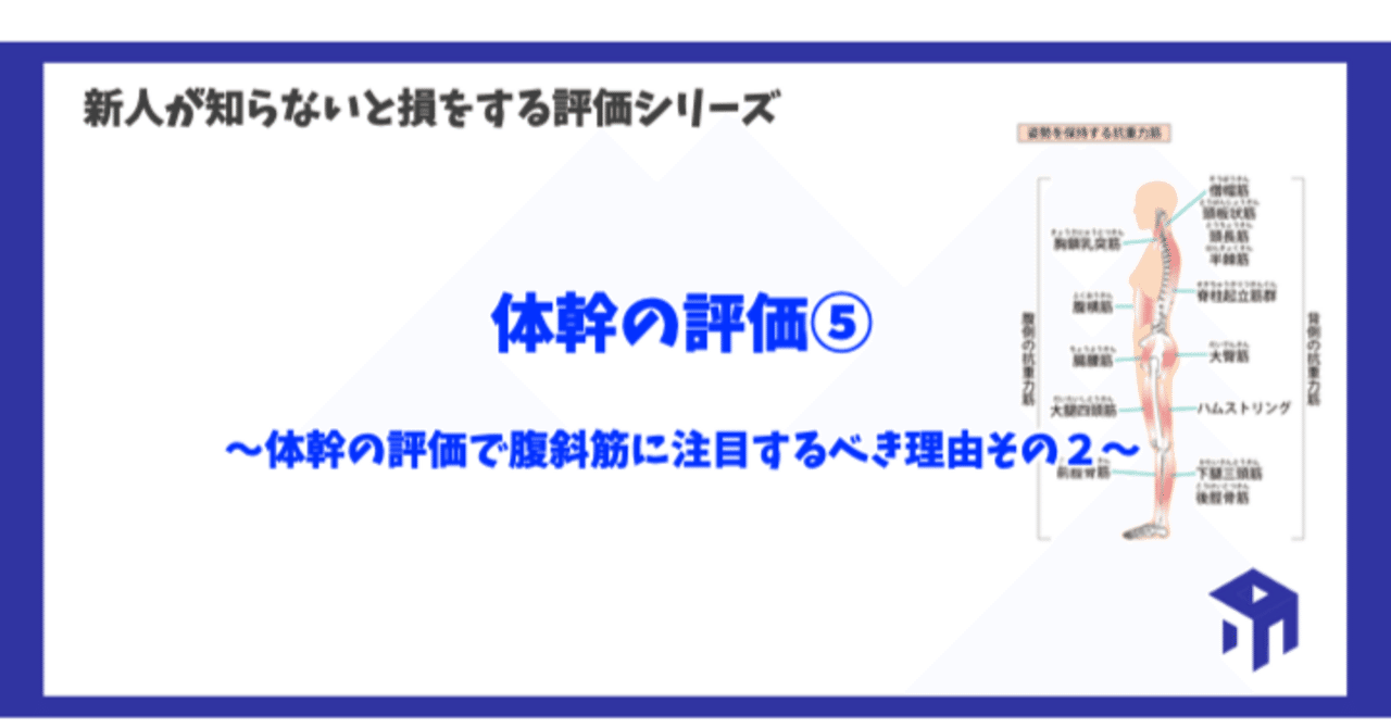 体幹の評価⑤｜加藤淳