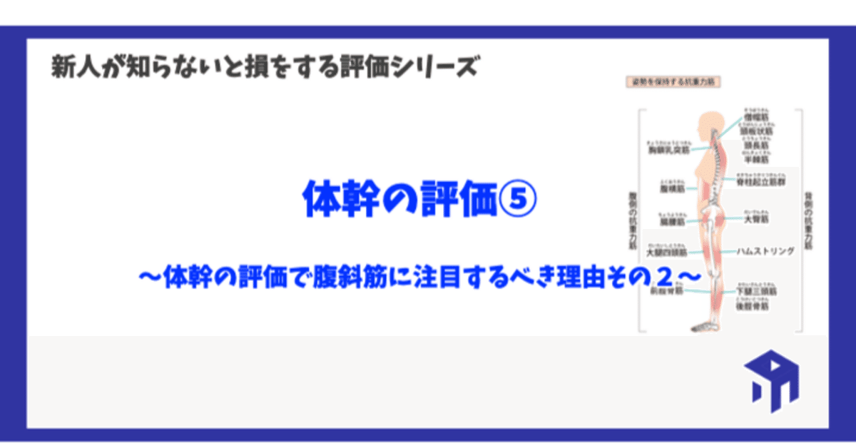 体幹の評価⑤｜加藤淳