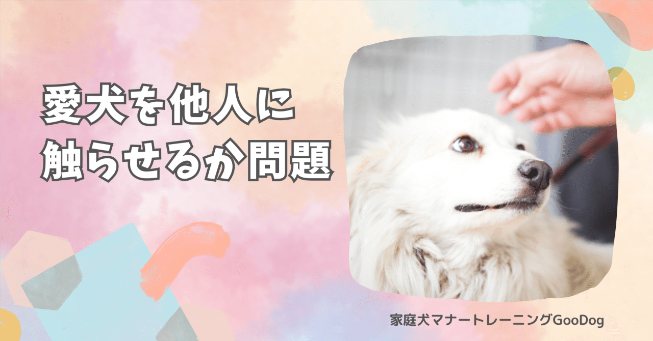 子犬の魅力と成長過程を知る🐶✨, image size:1280x670