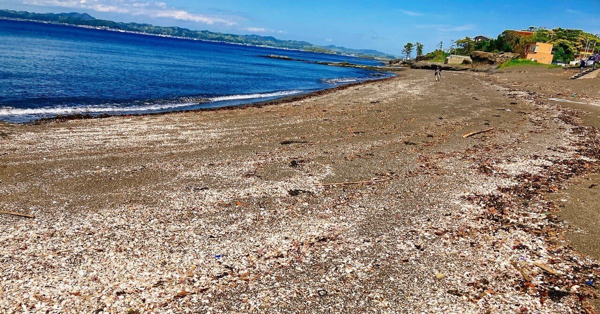 昭和レトロ 城崎 日和山海岸 海の生き物テーマの立体オブジェ 置き物