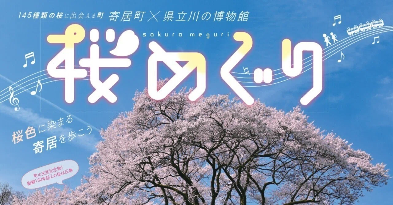 桜色に染まる町をめぐる～春を告げる桜たち～｜寄居まちづくりNOTE