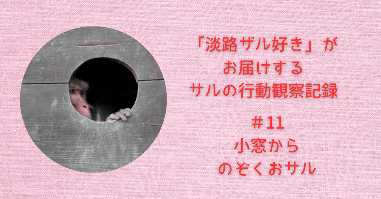 猿たまさんご確認用✨