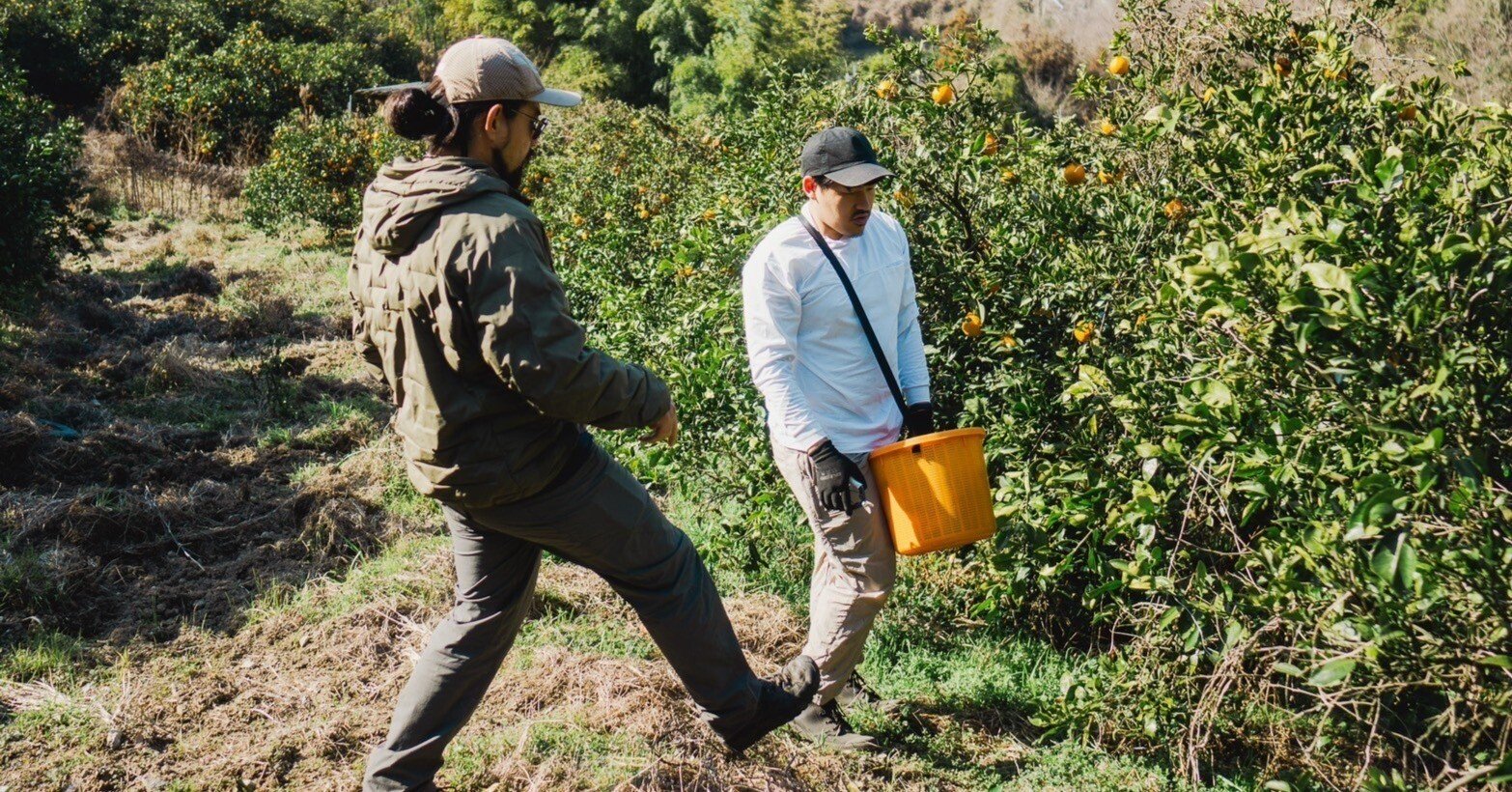 新規“半農半X”28歳、東京から移住～「comorebi farm」2年目の