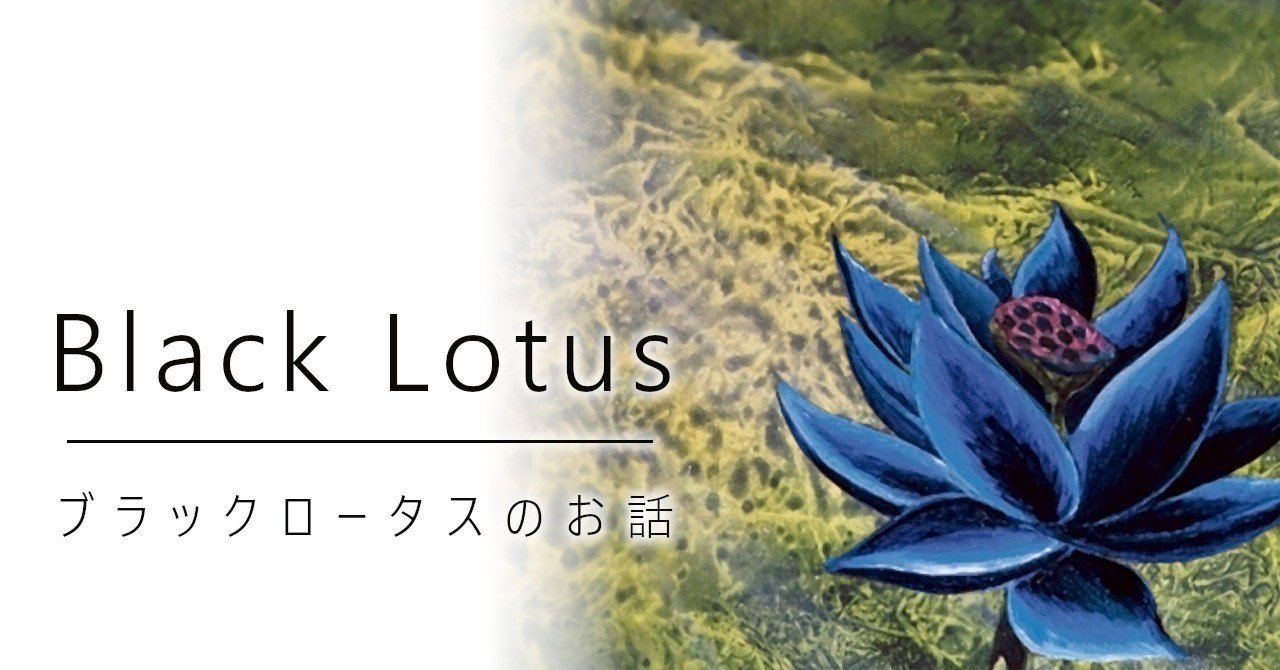 Black Lotus / ブラックロータスのお話｜加藤英宝