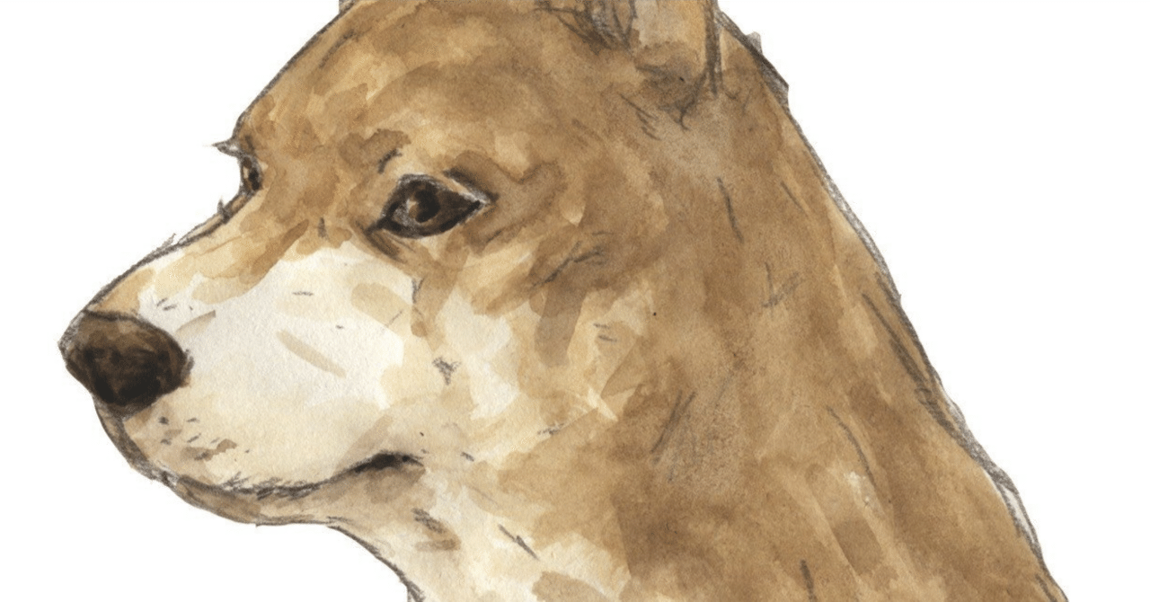 柴犬コイン発行枚数は1000兆枚、約半数がバーン｜くろやぎ