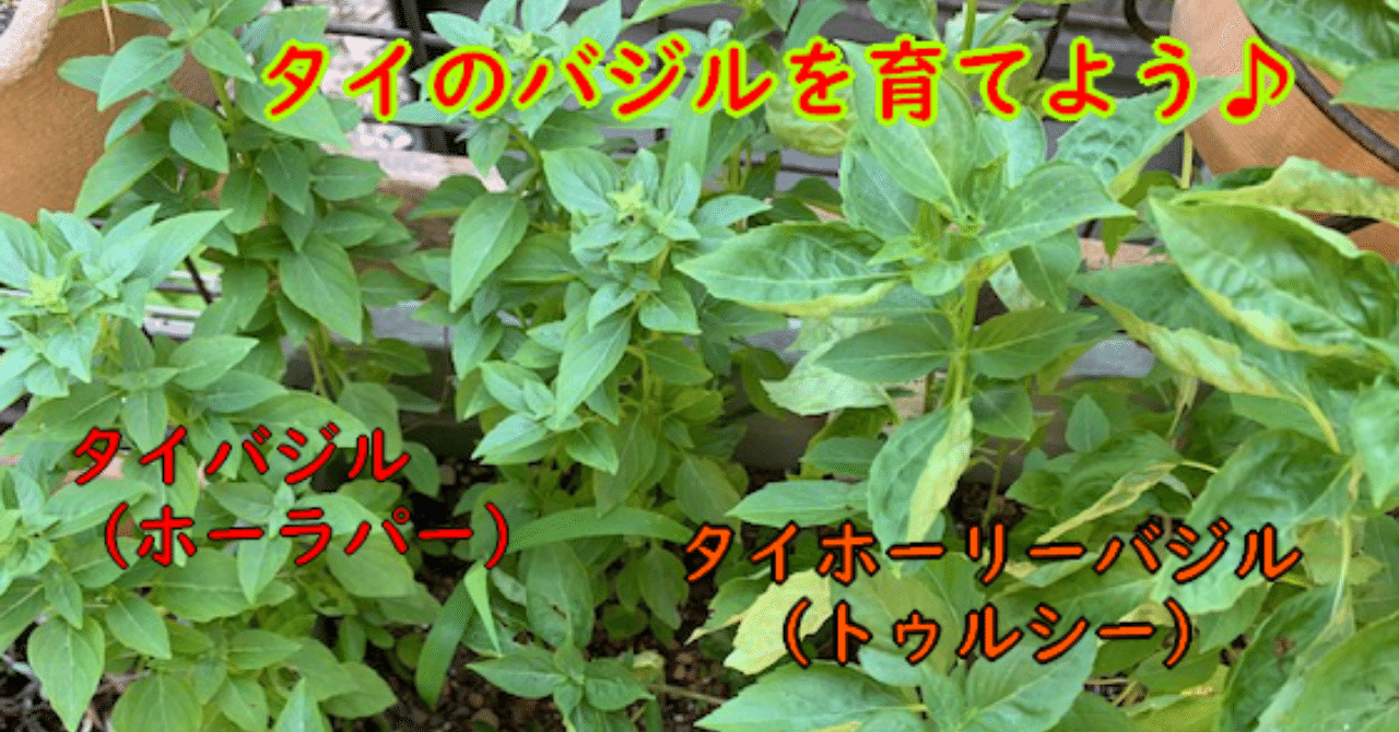 バジルっていいよね きょうた Note