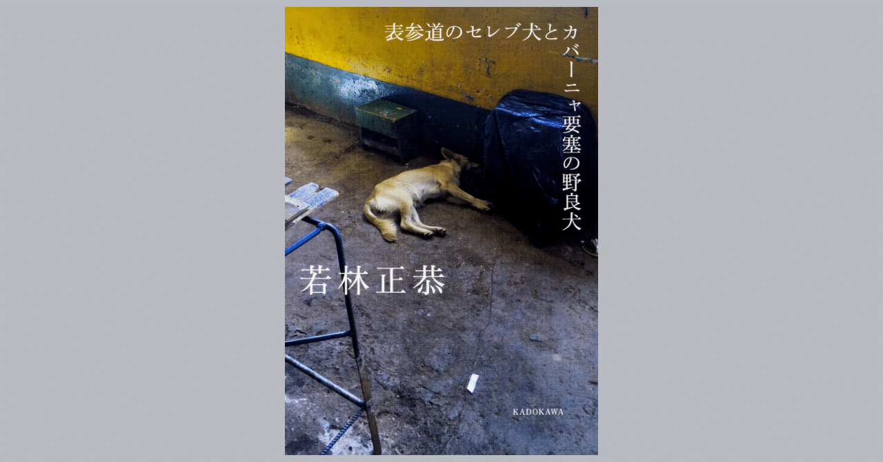 旅と気づき:オードリー若林氏の本が教えてくれたこと|HACHI 旅と気づき:オードリー若林氏の本が教えてくれたこと|HACHI
