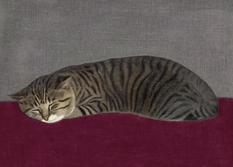 長谷川潾二郎「猫」。潾二郎は、モデルを目の前に置かなければ、絵が描けない画家だったそうだ。こんな格好で眠るのは、春か秋。そして、何年もかけて飼い猫タロウを描いていたが、タロウが死んでしまい、ついにヒゲを描くまで、間に合わなかった、というエピソードがある。